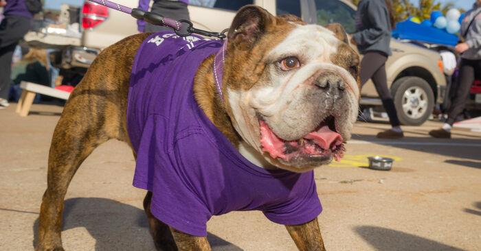 HomecomingTailgate26Oct2024-34 - Truman Today.jpg 